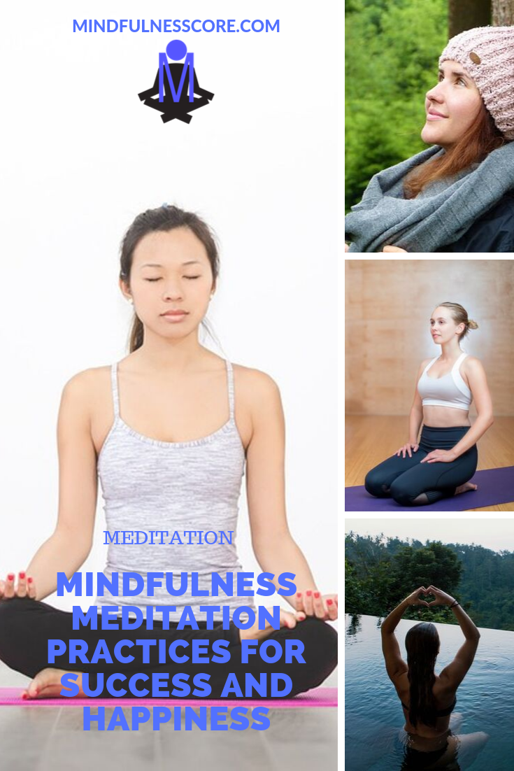 Mindfulness Meditation Practices for Success and Happiness
