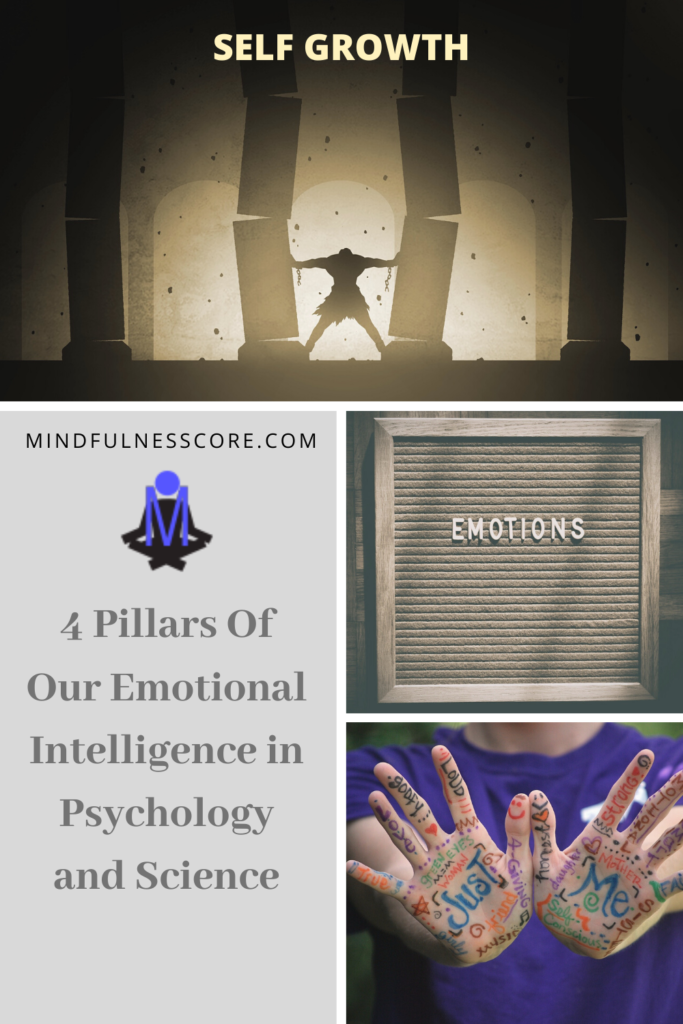 4 Pillars Of Our Emotional Intelligence in Psychology and Science
