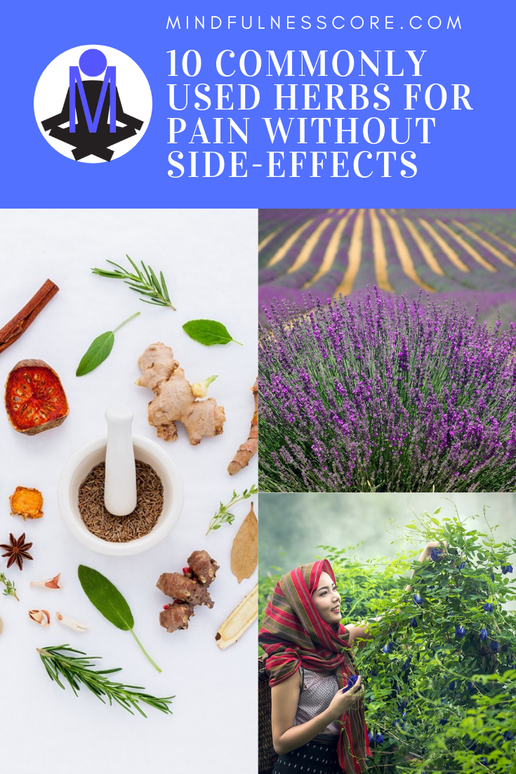 10 Commonly Used Herbs For Pain_ Natural Painkillers Without Side-Effects