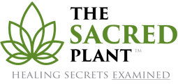 The Sacred Plant logo