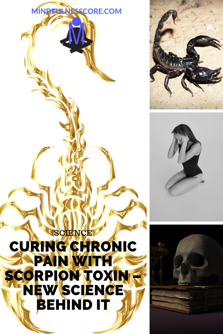 Cure Chronic Pain With Scorpion Toxin