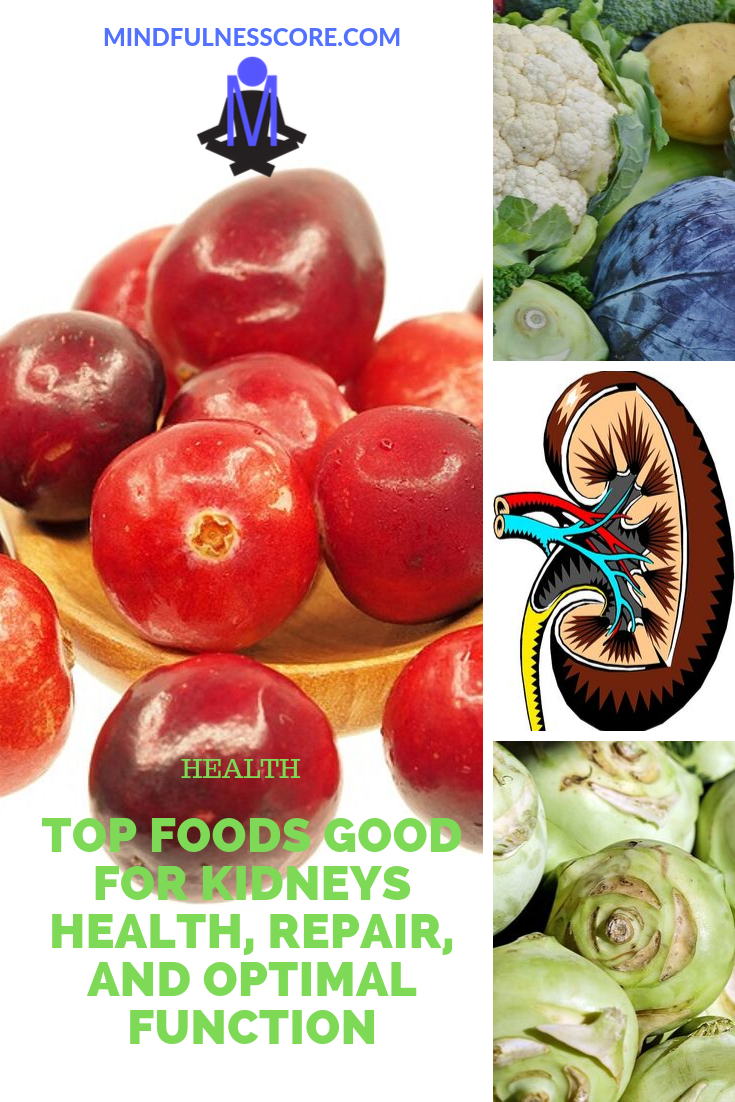 Foods Good for Kidneys Health, Repair, and Optimal Function