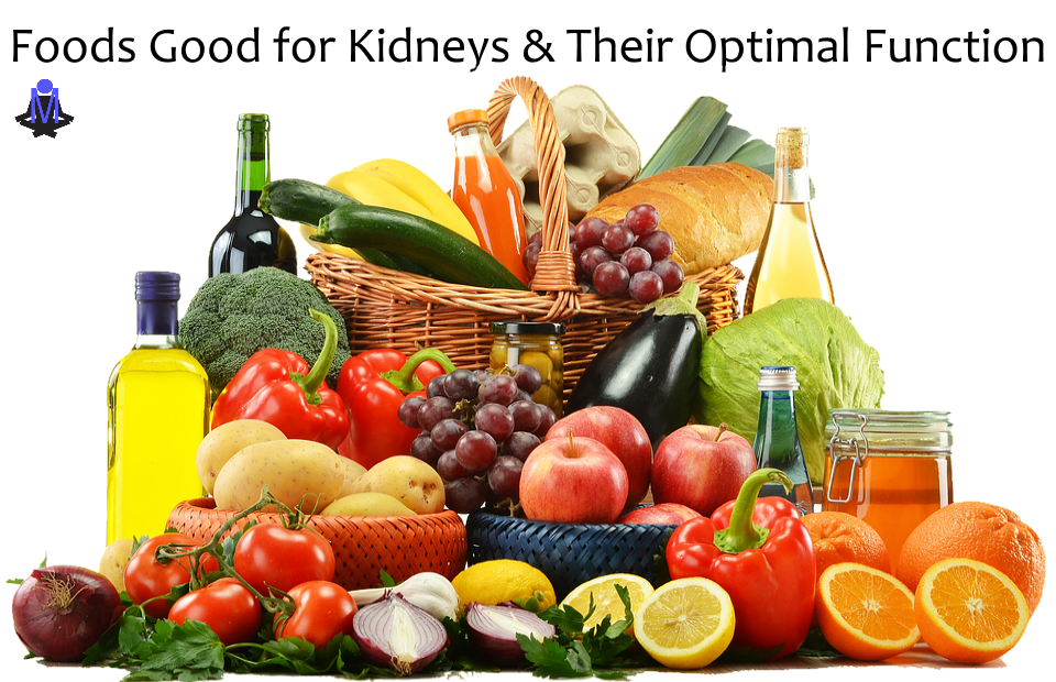 Top Foods Good for Kidneys Health, Repair, and Optimal Functions