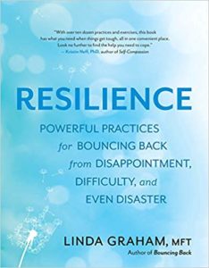 Resilience Powerful Practices for Bouncing Back from Disappointment, Difficulty, and Even Disaster