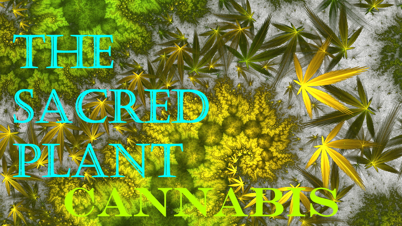 the Sacred Plant