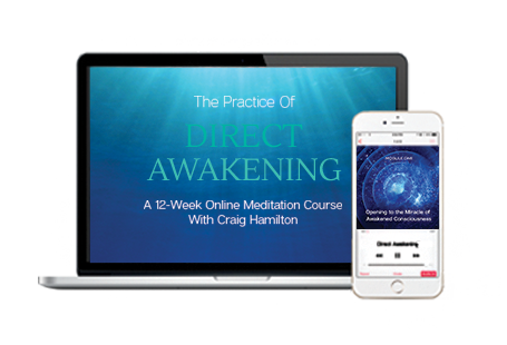 The Practice of Direct Awakening course